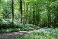 Springtime in Monaghan 2013 (12)